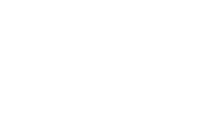 Logo de Steel